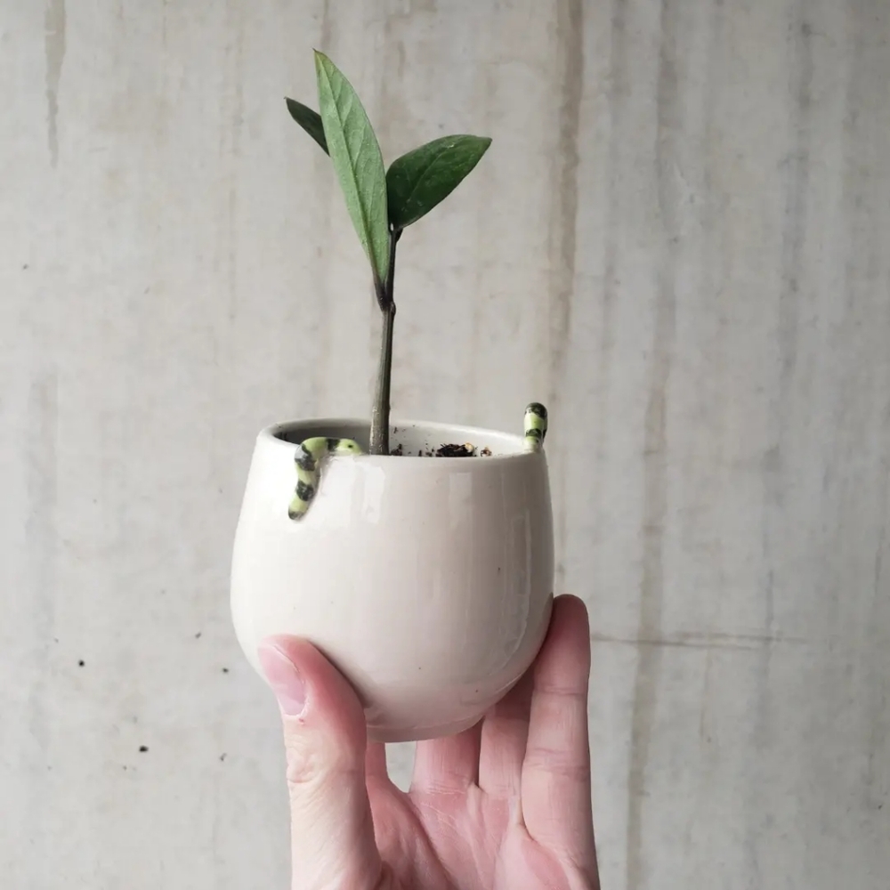 Handmade Inchworm Pot - Picture 3 of 3